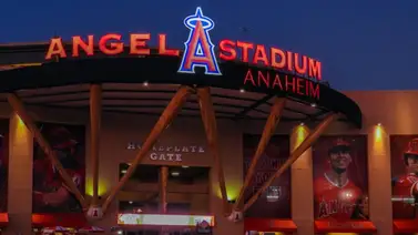 MLB: Angelinos quiere llevar a dos grandes nombres de la agencia libre MLB: Angelinos quiere llevar a dos grandes nombres de la agencia libre
