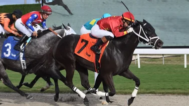 Así quedaron los resultados de las carreras de Gulfstream Park 24-12-23