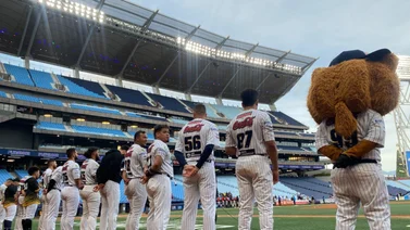 LVBP: ¡Qué rugido! Así le desea feliz navidad los Leones del Caracas a su afición (+Video)