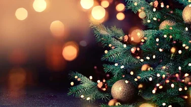 Dedica las mejores frases navideñas hoy 25 de diciembre a familiares y amigos 