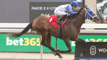 Conoce a la yoqueta más ganadora de este año en Norteamérica Conoce a la yoqueta más ganadora de este año en Norteamérica