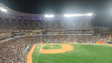 LVBP: ¡Con miras al Round Robin! Leones informa cuándo y dónde iniciará la renovación de los abonados LVBP: ¡Con miras al Round Robin! Leones informa cuándo y dónde iniciará la renovación de los abonados