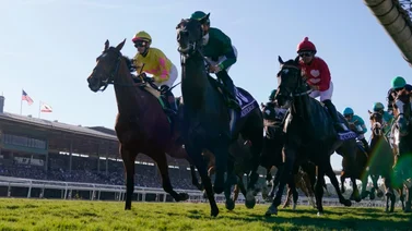Estos son los Best Bet para hoy 26 de diciembre de 2023 en Santa Anita Park