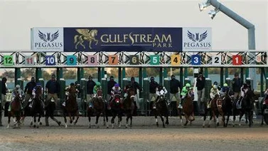 Conoce los Stakes de Preparación para la Pegasus World Cup que se correrán este sábado