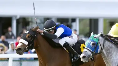 Con estas montas Samuel Marín espera llegar a esta cifra redonda en Estados Unidos Con estas montas Samuel Marín espera llegar a esta cifra redonda en Estados Unidos
