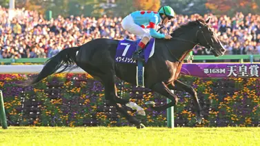 Equinox cierra el año como el mejor caballo del mundo según este ranking Equinox cierra el año como el mejor caballo del mundo según este ranking