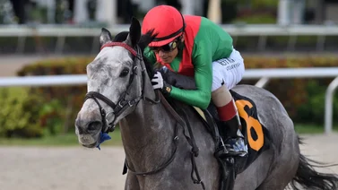 Leyenda de la fusta puertorriqueña gana este stakes en Gulfstream Park (+video)