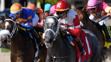 Así quedaron los resultados de las carreras de Gulfstream Park 26-12-23