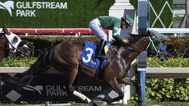 Paco López gana la carrera con el mejor dividendo de la tarde en Gulfstream Park