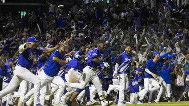 LIDOM: Estos son los récords de por vida de los cuatro equipos en el Round Robin LIDOM: Estos son los récords de por vida de los cuatro equipos en el Round Robin