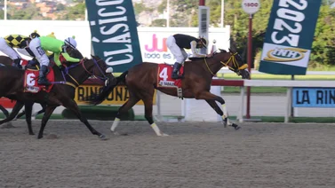Potra ganadora de un clásico grado 1 en La Rinconada fue operada este martes