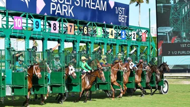 Estos serán los stakes de Gulfstream Park que se disputarán en Año Nuevo