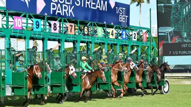 Estos serán los stakes de Gulfstream Park que se disputarán en Año Nuevo Estos serán los stakes de Gulfstream Park que se disputarán en Año Nuevo