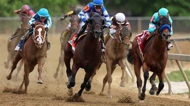 Estos son los Clásicos (stakes) que se correrán el último fin de semana del año en Estados Unidos