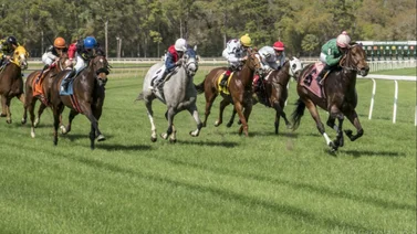 Entrenador venezolano gana premio en este hipódromo de Estados Unidos