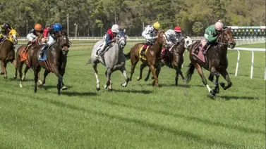 Entrenador venezolano gana premio en este hipódromo de Estados Unidos Entrenador venezolano gana premio en este hipódromo de Estados Unidos