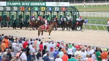 Así quedaron los resultados de las carreras de Tampa Bay Downs 27-12-23