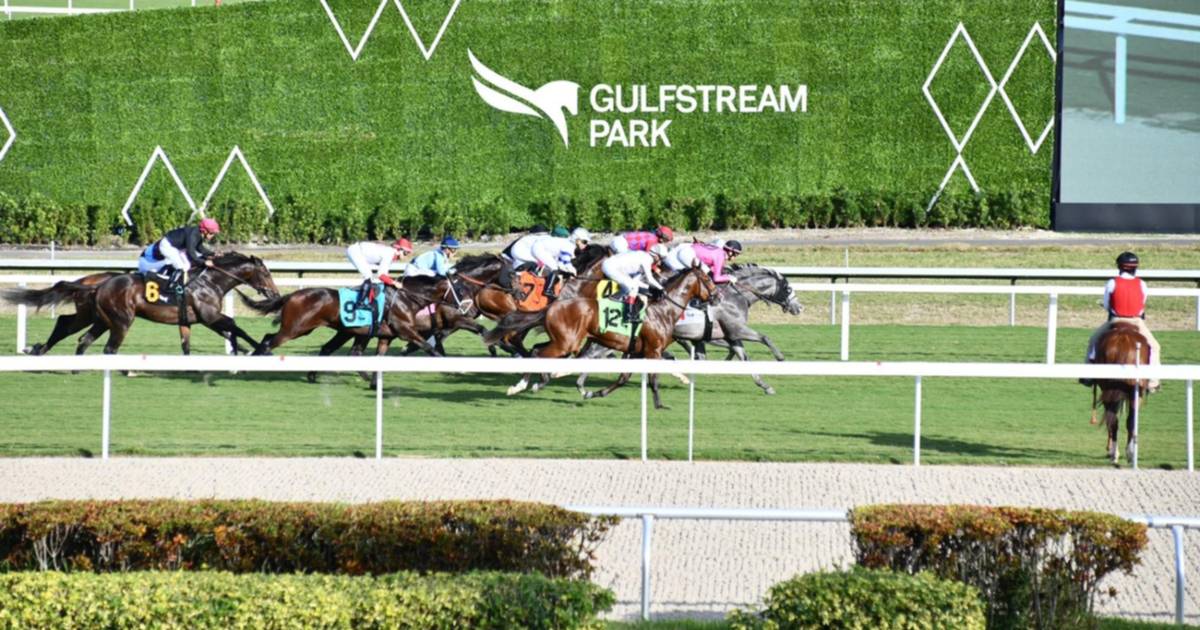 Así combinaremos el Pick 6 de Gulfstream Park este jueves 28 de diciembre