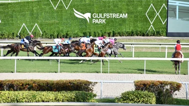 Así combinaremos el Pick 6 de Gulfstream Park este jueves 28 de diciembre