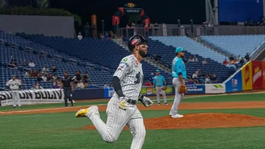 LVBP: Mira todos los títulos de bateo que tienen los Leones del Caracas (+Detalles)