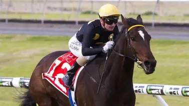 Entrenador está involucrado en su tercer escándalo por alcoholismo y mal comportamiento Entrenador está involucrado en su tercer escándalo por alcoholismo y mal comportamiento