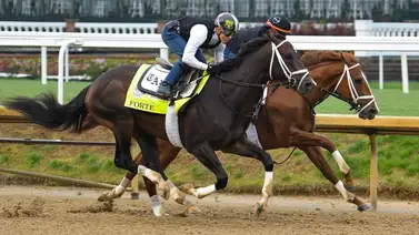 Mira quién es el jockey puertorriqueño que ha ganado más graded Stakes en Estados Unidos en el 2023 Mira quién es el jockey puertorriqueño que ha ganado más graded Stakes en Estados Unidos en el 2023
