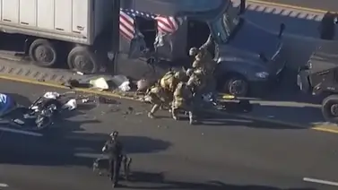 Con blindados y perros terminó persecución de un camión en Texas (+Video)