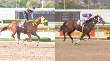 Estos fueron los dos mejores tresañeros del 2023 en La Rinconada Estos fueron los dos mejores tresañeros del 2023 en La Rinconada