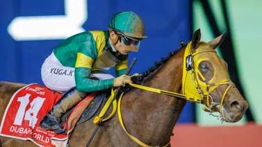 Uno de los caballos que más dinero produjó en 2023 despide el año con triunfo
