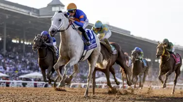 Conoce los 3 ejemplares que más dinero hicieron en Estados Unidos en el 2023 Conoce los 3 ejemplares que más dinero hicieron en Estados Unidos en el 2023