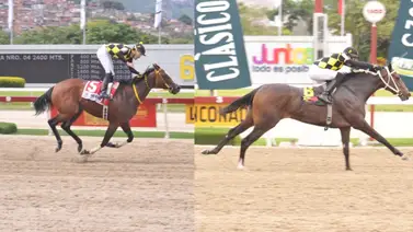 Las Tresañeras más destacadas que pisaron la arena de La Rinconada en 2023 Las Tresañeras más destacadas que pisaron la arena de La Rinconada en 2023