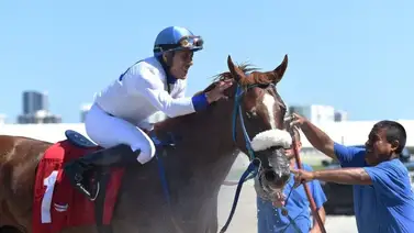 Marcos Meneses cierra este viernes con triplete en Tampa Bay Downs Marcos Meneses cierra este viernes con triplete en Tampa Bay Downs