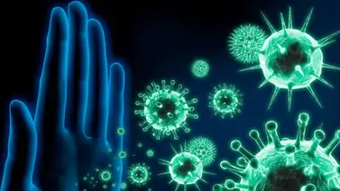 ¡Qué curioso! ¿Sabías cuánto pesa el sistema inmunológico? Aquí tenemos la respuesta ¡Qué curioso! ¿Sabías cuánto pesa el sistema inmunológico? Aquí tenemos la respuesta