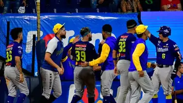 LVBP: Estas son las piezas de Magallanes disponibles para el draft de sustituciones LVBP: Estas son las piezas de Magallanes disponibles para el draft de sustituciones