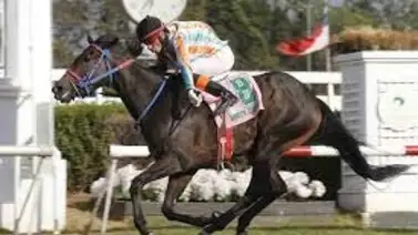 Conoce quién ganó el último clásico grado 1 que se corrió en el 2023 en el mundo Conoce quién ganó el último clásico grado 1 que se corrió en el 2023 en el mundo