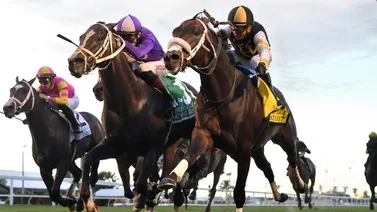 Javier Castellano gana el último Stakes del sábado en Gulfstream Park