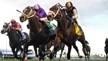 Javier Castellano gana el último Stakes del sábado en Gulfstream Park Javier Castellano gana el último Stakes del sábado en Gulfstream Park