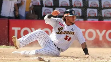 LVBP: Esta es la situación de Harold Ramírez y su posible regreso con Leones LVBP: Esta es la situación de Harold Ramírez y su posible regreso con Leones