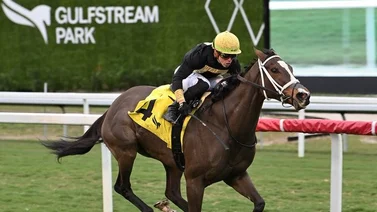 Irad Ortiz se queda con este Stakes del sábado en Gulfstream Park