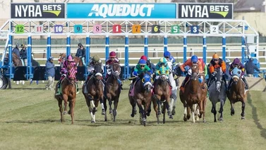 Conoce el ejemplar que ganó el último Stakes sabatino del 2023 en Aqueduct 