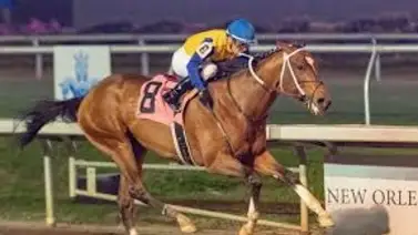 Jockey puertorriqueño gana con un hijo de Into Mischief el último Stakes del año en Oaklawn Park Jockey puertorriqueño gana con un hijo de Into Mischief el último Stakes del año en Oaklawn Park