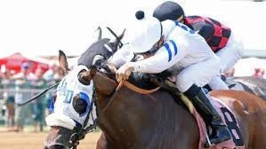 Jinete puertorriqueño gana el último Stakes para machos del 2023 en este hipódromo de Estados Unidos