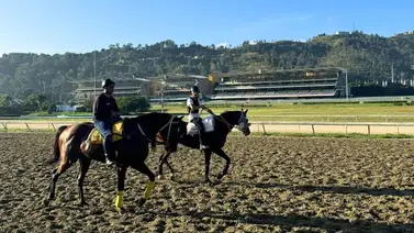 Estos son los retirados oficiales de la Reunión N°46 en La Rinconada 01-12-2024 Estos son los retirados oficiales de la Reunión N°46 en La Rinconada 01-12-2024