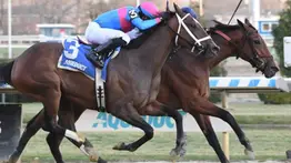 Mira cuanto pagó este dato de la Gaceta Hípica Internacional en la última de Aqueduct