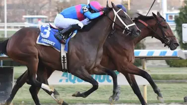 Mira cuanto pagó este dato de la Gaceta Hípica Internacional en la última de Aqueduct Mira cuanto pagó este dato de la Gaceta Hípica Internacional en la última de Aqueduct