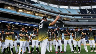 LVBP: ¡Refuerzo para el bullpen! Leones del Caracas suma pitcher con experiencia en Grandes Ligas