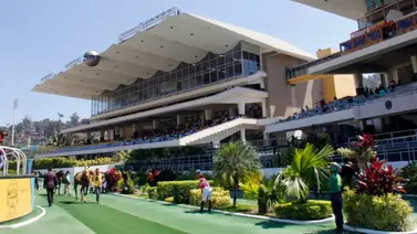 Conoce cuales fueron los profesionales que fueron citados por la Junta de Comisarios del (INH) Conoce cuales fueron los profesionales que fueron citados por la Junta de Comisarios del (INH)