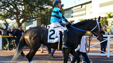 Jockey latino se titula campeón por quinta vez consecutiva en este hipódromo