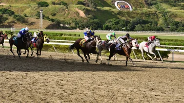Son 7 los jockeys que fueron multados la tarde de ayer en La Rinconada