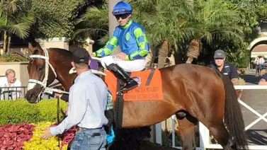 Los mejores se enfrentan esta semana en el Cigar Mile Handicap (G2) de $500.000 Los mejores se enfrentan esta semana en el Cigar Mile Handicap (G2) de $500.000